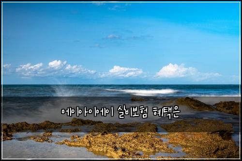 에이아이에이 실비보험 혜택은 