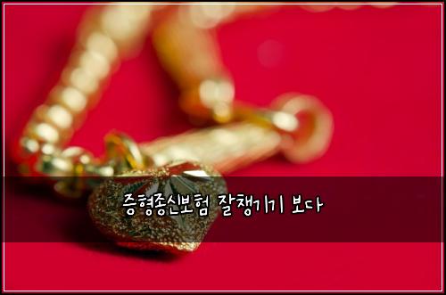 증형종신보험 잘챙기기  보다
