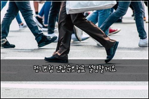 정기보험 연납순보험료 설명할게요