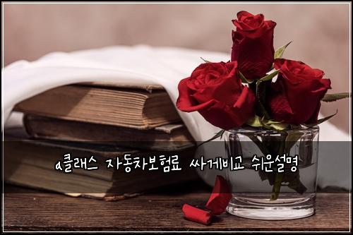 a클래스 자동차보험료 싸게비교 쉬운설명