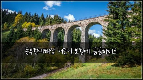 동부현대해상 어린이 보험에 꼼꼼히체크