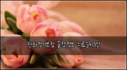 한화정기보험 끝장정보  의료실비3인
