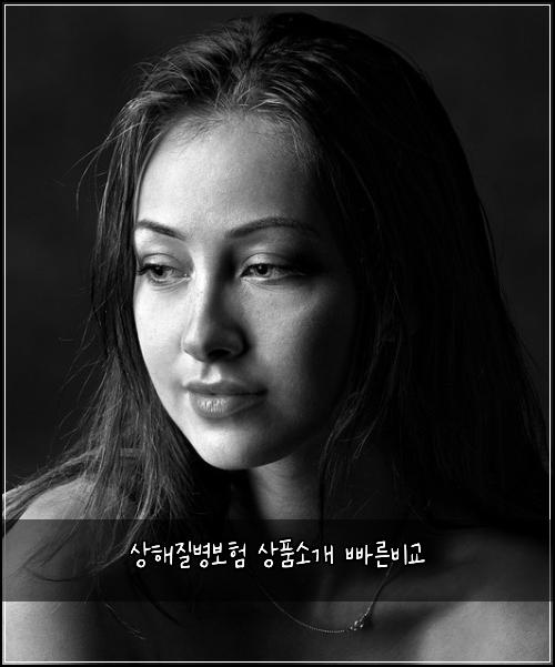 상해질병보험 상품소개  빠른비교