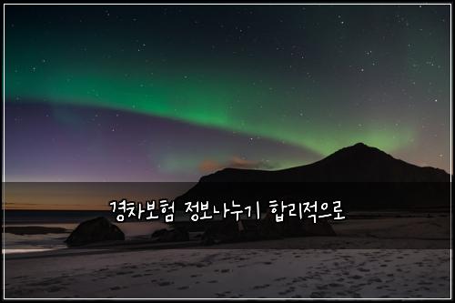 ๊ฒฝ์ฐจ๋ณดํ ์ ๋ณด๋๋๊ธฐ ํฉ๋ฆฌ์ ์ผ๋ก