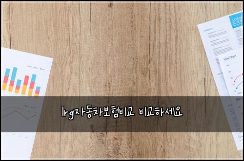 lrg์๋์ฐจ๋ณดํ๋น๊ต ๋น๊ตํ์ธ์