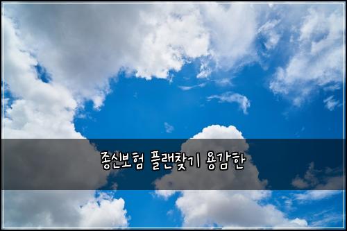 종신보험 플랜찾기  용감한