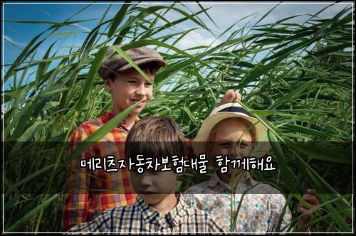 메리츠자동차보험대물 함께해요