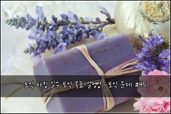 토익 마킹 실수 토익 목표 설정법 : 토익 문제 #45