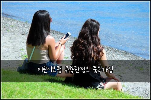 ์ด๋ฆฐ์ด๋ณดํ ์ ์ฉํ์ ๋ณด ์ค๋ณต๊ฐ์