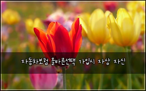 ์๋์ฐจ๋ณดํ ์ฌ๋ฐ๋ฅธ์ ํ ๊ฐ์
์ ์์ ์์