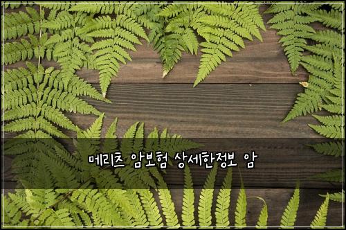 메리츠 암보험 상세한정보  암