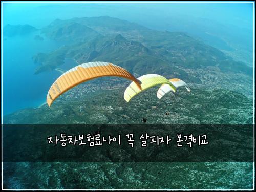 자동차보험료나이 꼭 살피자 본격비교