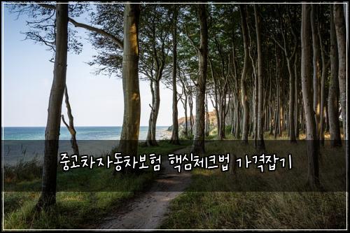 중고차자동차보험 핵심체크법  가격잡기