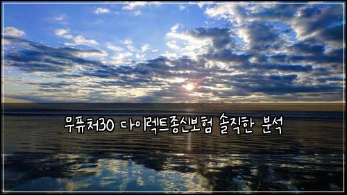 무퓨처30 다이렉트종신보험 솔직한 분석