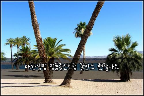 대한생명 명품종신보험 꿀찬스  괜찮나요