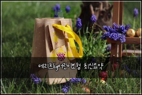 메리츠lig어린이보험 최신요약 