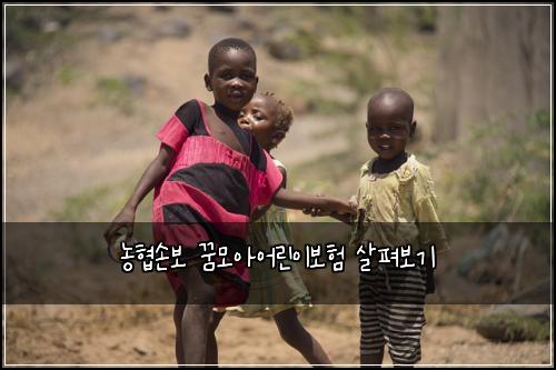 농협손보 꿈모아어린이보험 살펴보기