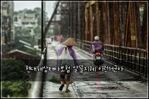 현대해상태아보험 알뜰지혜  이런거군아