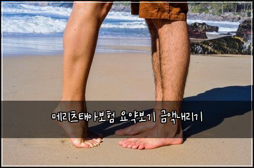 메리츠태아보험 요약보기  금액내리기