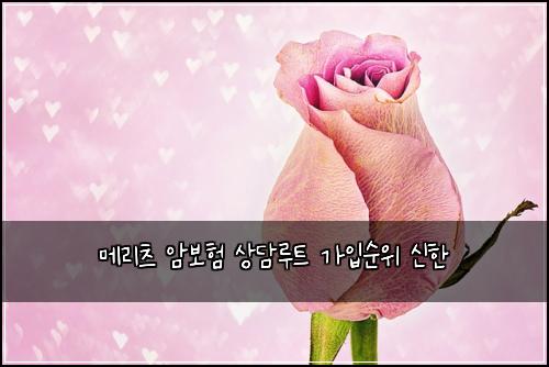 메리츠 암보험 상담루트  가입순위 신한