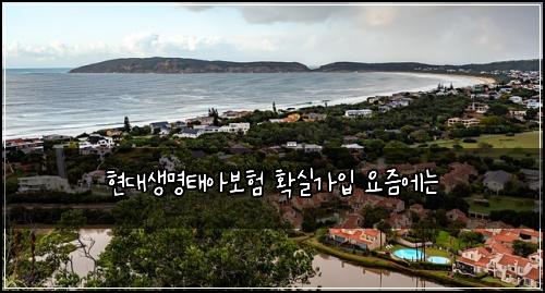 ํ๋์๋ช
ํ์๋ณดํ ํ์ค๊ฐ์
์์ฆ์๋