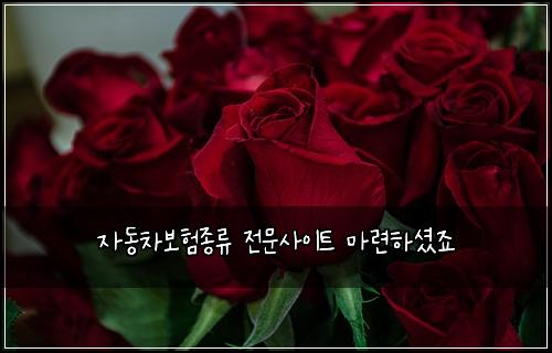 자동차보험종류 전문사이트 마련하셨죠