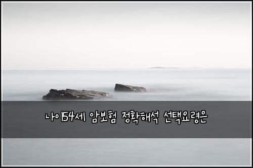 ๋์ด54์ธ ์๋ณดํ ์ ํํด์ ์ ํ์๋ น์
