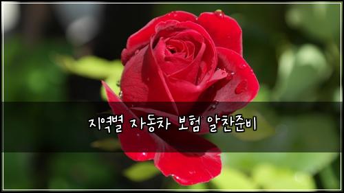 지역별 자동차 보험 알찬준비 