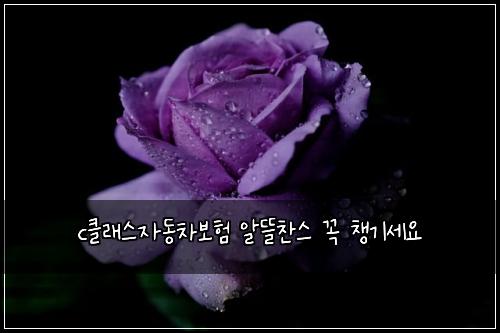 cํด๋์ค์๋์ฐจ๋ณดํ ์๋ฐ์ฐฌ์ค ๊ผญ ์ฑ๊ธฐ์ธ์