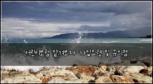 어린이보험 맡겨보자  가입요령 및 유의점