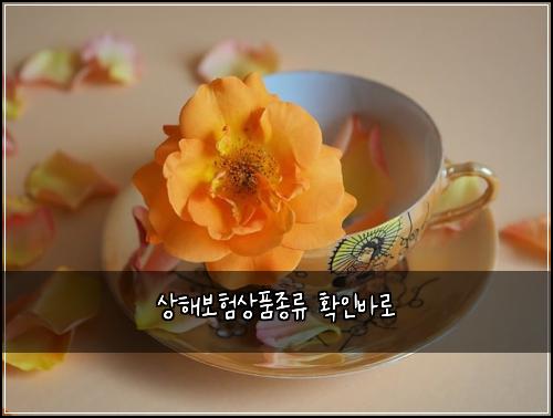 상해보험상품종류 확인바로