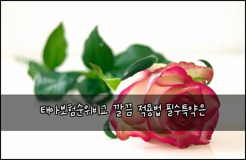 태아보험순위비교 깔끔 적용법 필수특약은