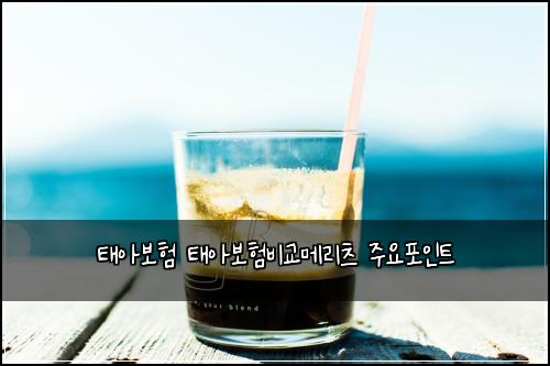 태아보험 태아보험비교메리츠 주요포인트