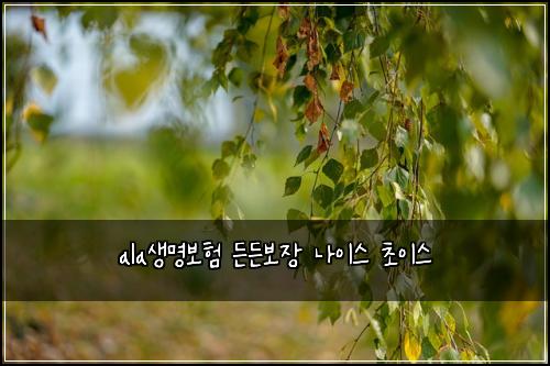 ala생명보험 든든보장  나이스 초이스