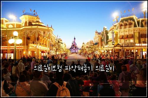 의료실비보험 파악해놓기  의료실비