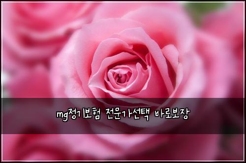 mg์ ๊ธฐ๋ณดํ ์ ๋ฌธ๊ฐ์ ํ ๋ฐ๋ก๋ณด์ฅ