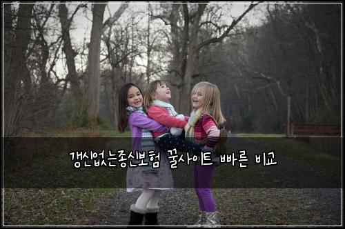 갱신없는종신보험 꿀사이트  빠른 비교