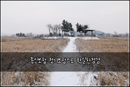 종신보험 정기보험으로 확실한점검