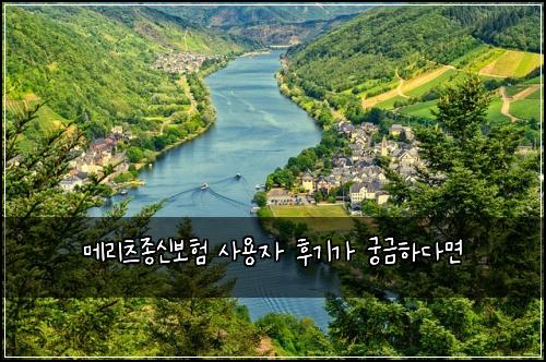 메리츠종신보험 사용자 후기가 궁금하다면