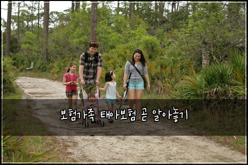 보험가족 태아보험 곧 알아놓기