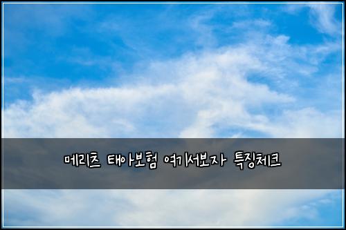 λ©λ¦¬μΈ νμ보ν μ¬κΈ°μ보μ νΉμ§μ²΄ν¬