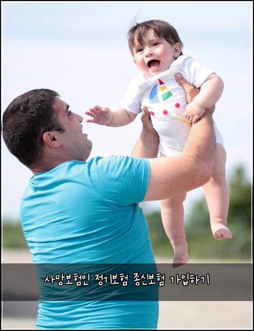 사망보험인 정기보험 종신보험 가입하기