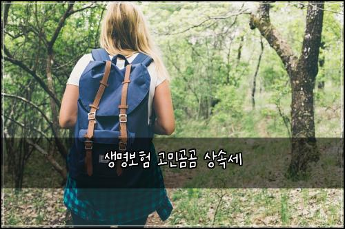 μλͺ
보ν κ³ λ―Όκ³°κ³° μμμΈ