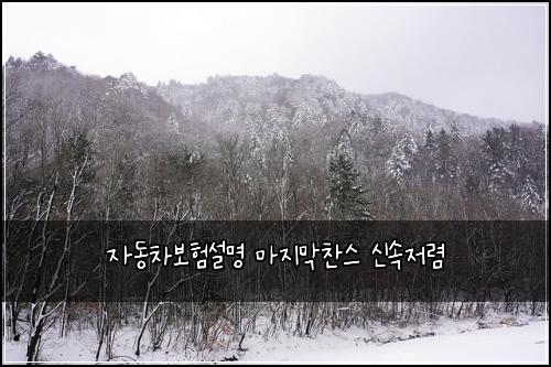 자동차보험설명 마지막찬스 신속저렴