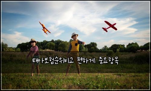 태아보험순위비교 편하게 중요항목