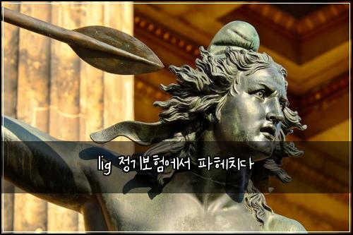 lig ์ ๊ธฐ๋ณดํ์์ ํํค์น๋ค