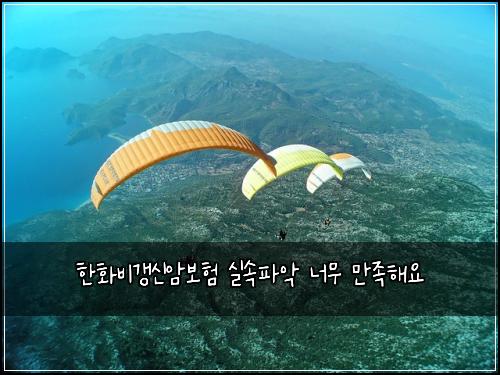 한화비갱신암보험 실속파악  너무 만족해요