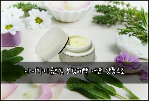 자녀학자금보험 보험혜택  어떤 상품으로