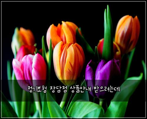์ ๊ธฐ๋ณดํ ์ฅ๋ด์ ์ํ์๋ด ๋ฐ์ผ๋ ค๋๋ฐ