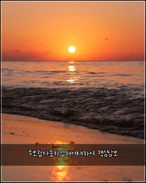 무보험자동차상해에대하여 핵심담보